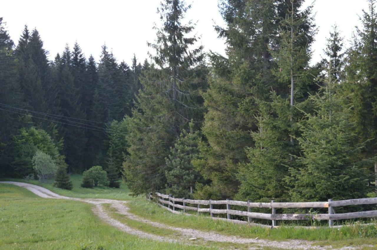 Mystic Forest Hostel Mitrovac Eksteriør billede