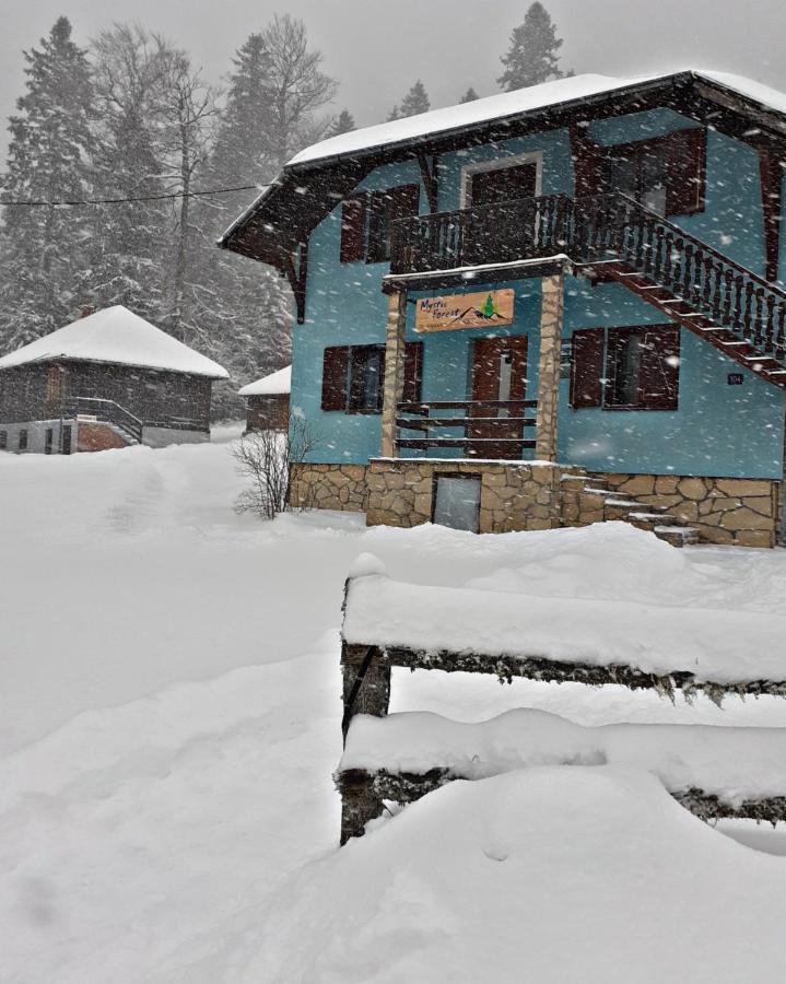 Mystic Forest Hostel Mitrovac Eksteriør billede